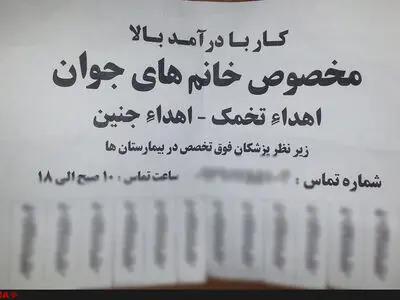 تبلیغات اجاره رحم شبیه به خرید و فروش کلیه شده‌است