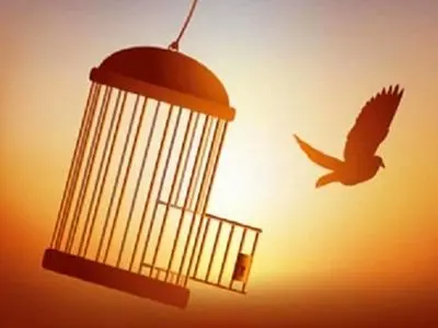 آزادسازی ۳۳ زندانی جرائم مالی غیر عمد در بحبوحه جنگ تحمیلی سوم