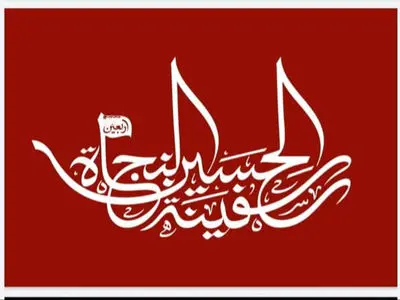 سالخوردگان و افراد بیمار از عزیمت برای زیارت اربعین پرهیز کنند