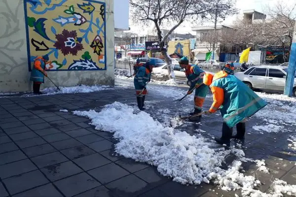 پاکسازی ۲۰ میلیون مترمربع معابر اصلی برفی مشهد/ ۲۵۰۰ آشیانه، میزبان پرندگان در روزهای سرد 