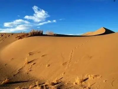 زنگ خطر بیابان‌زایی گلستان به صدا درآمده است/اگر اقدمات جدی صورت نگیرد استان در ۱۵ سال آینده بیابانی می شود 