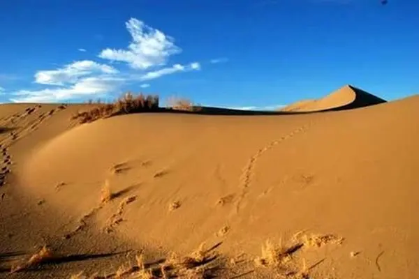 زنگ خطر بیابان‌زایی گلستان به صدا درآمده است/اگر اقدمات جدی صورت نگیرد استان در ۱۵ سال آینده بیابانی می شود 