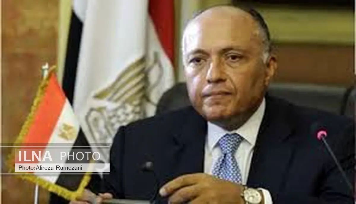 مصر: با عربستان درباره اسد اختلاف‌نظر داریم