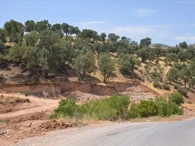جلوگیری از زمین‌خواری هزار و ۵۰۰ میلیارد تومانی در گنبدکاووس