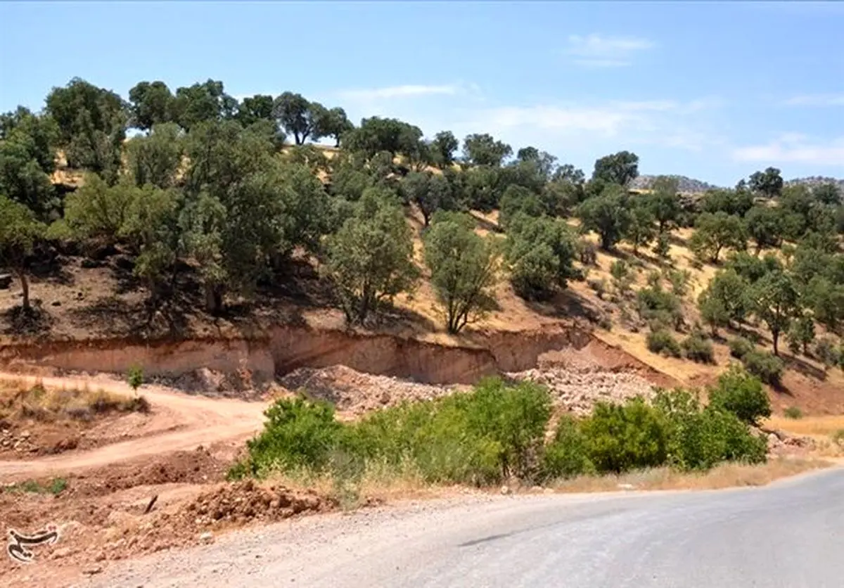 جلوگیری از زمین‌خواری هزار و ۵۰۰ میلیارد تومانی در گنبدکاووس