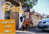 سکانس پرطرفدار سریال پایتخت با گزارش هادی عامل (ویدیو)