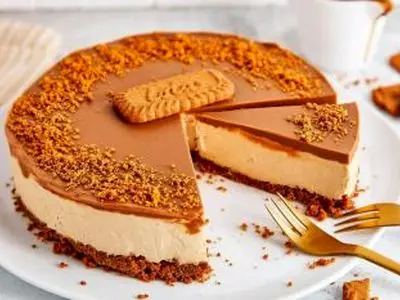 طرز تهیه چیزکیک لوتوس بدون فر 