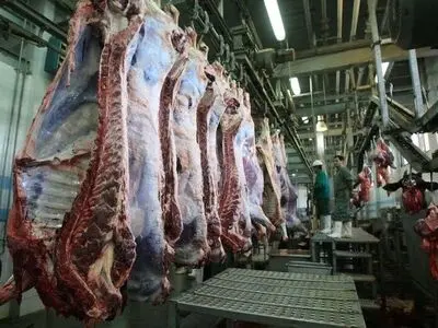 افزایش تولید گوشت در گیلان