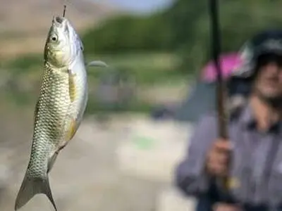 مرگ یک کارگر ماهیگیر ایلامی بر اثر انفجار نارنجک دستی