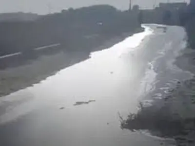 جاری شدن رود نفت در اهواز+فیلم