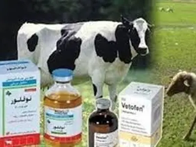 صادرات 24 هزار و 220 کیلوگرم داروی دامی از استان مرکزی