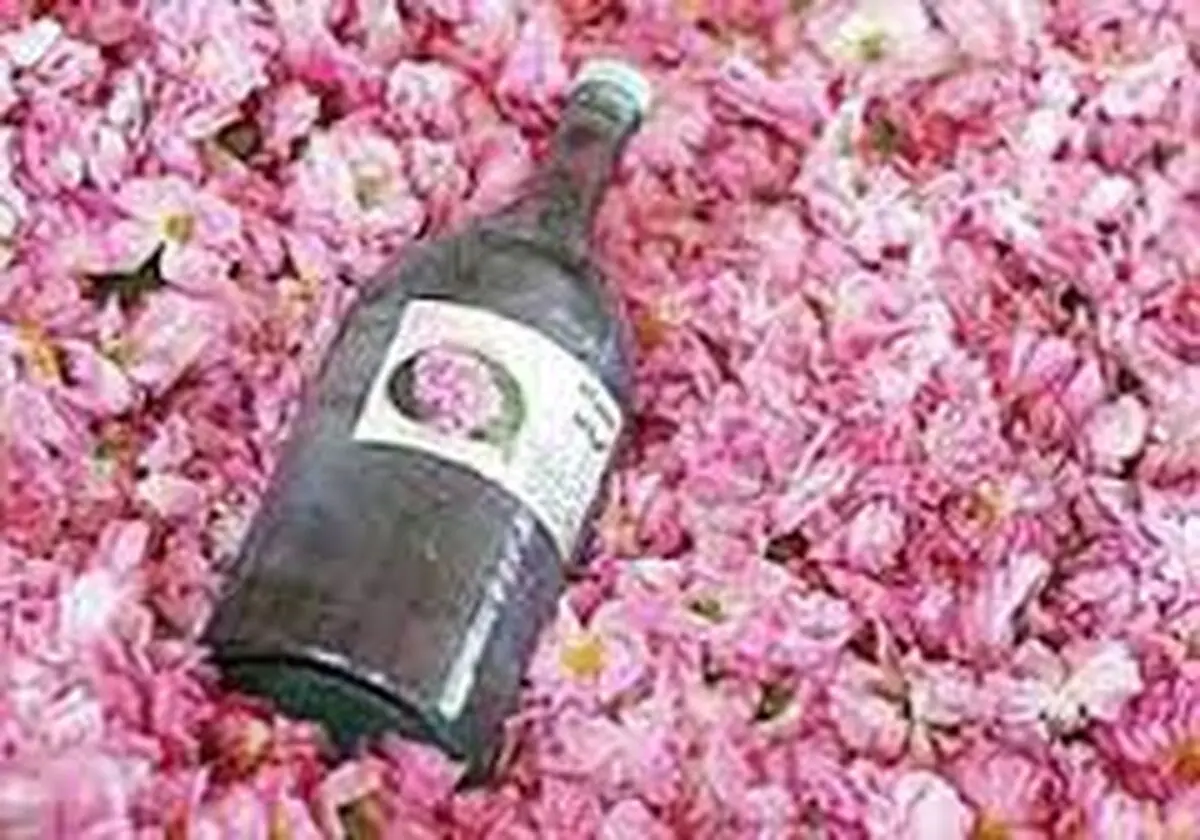 از بین بردن خستگی وسیاهی دورچشم با گلاب