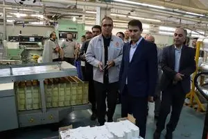 بازدید حسابرس کل دیوان محاسبات از شرکت‌های تابعه صندوق فولاد