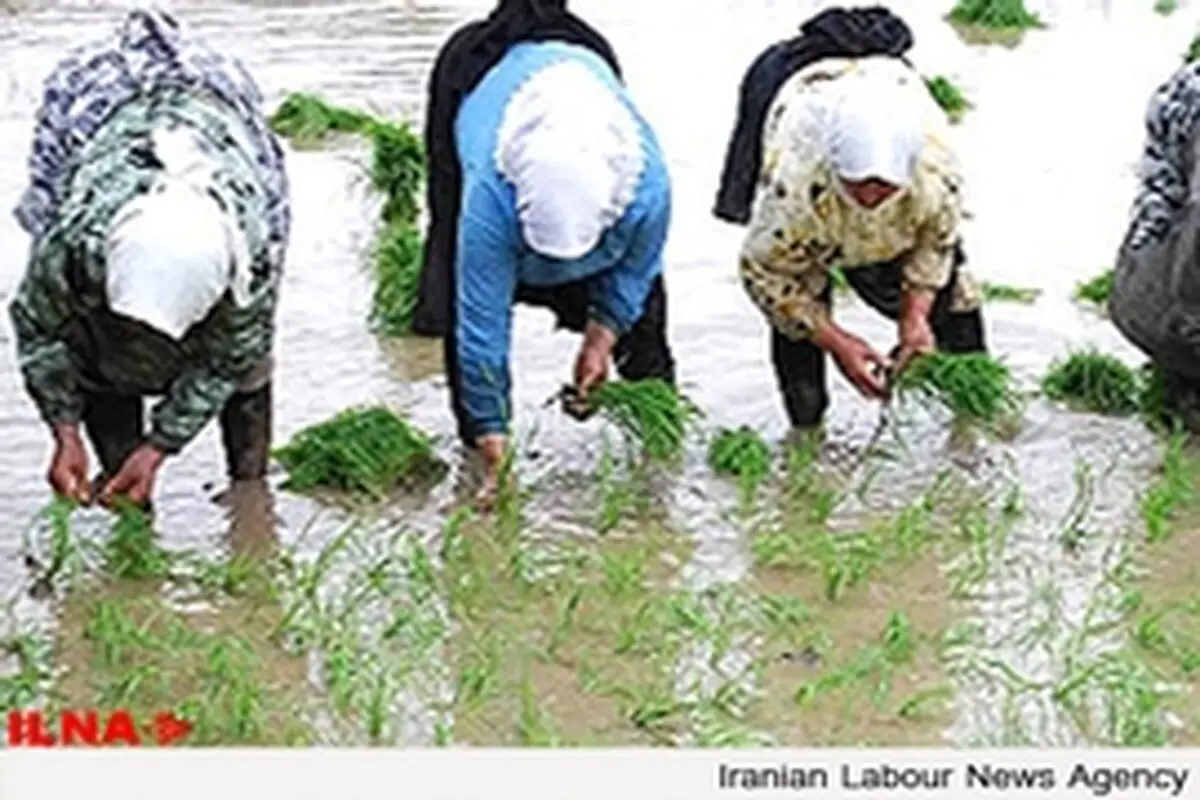 زنان روستایی ظرفیت عظیمی برای توسعه ملی هستند