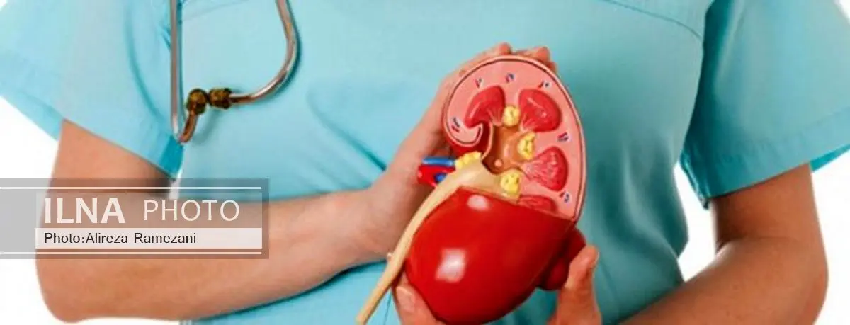 ۷ روش برای پیشگیری از سنگ کلیه