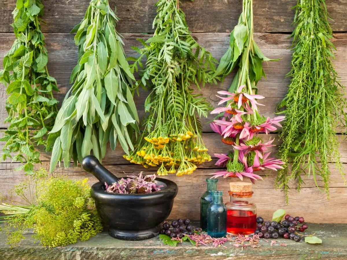 صادرات بیش از ۸۵۰ تن گیاهان دارویی به بازارهای جهانی

