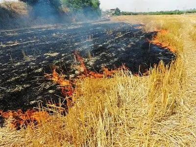 سوزاندن کاه و کلش، تهدیدی خاموش برای امنیت غذایی، حاصلخیزی خاک و محیط‌زیست