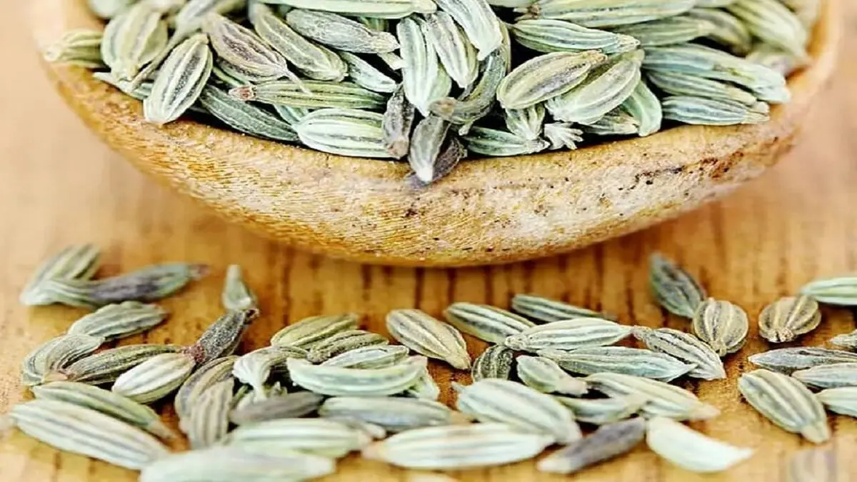 خواص گیاه رازیانه + فیلم