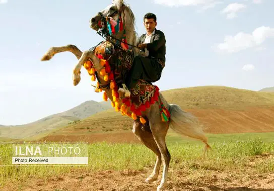 گالری