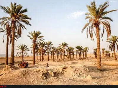 وضعیتِ روستاهای آبادان بحرانی است/روستاییان نگران احشام و زمین‌های خود هستند/زمین‌های کشاورزی به زودی شوره‌زار می‌شود
