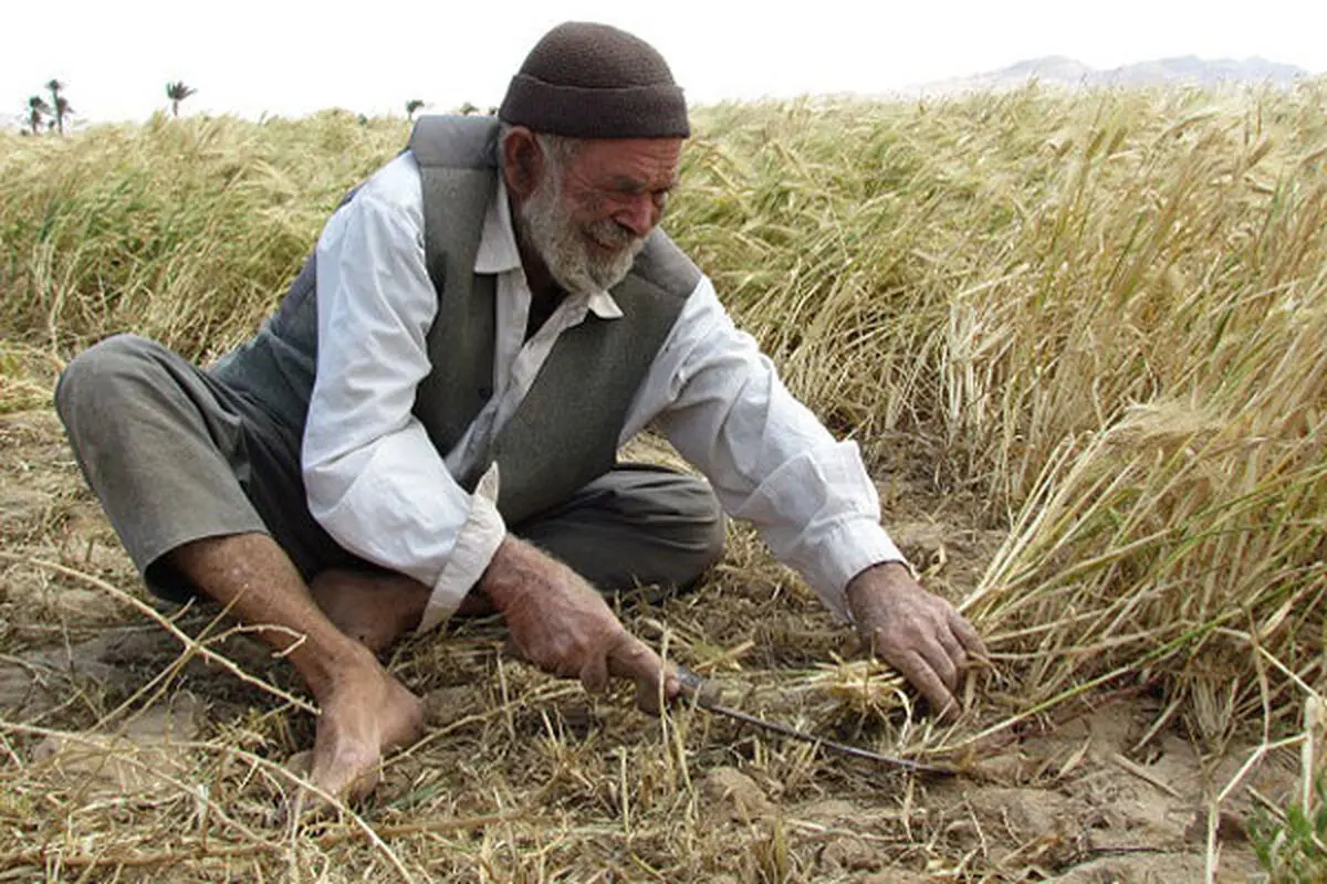 دو هفته طلایی نمایندگان برای جلوگیری از اعمال مالیات بر کشاورزان/ امروز برای دادخواهی به سازمان برنامه و بودجه می‌روند