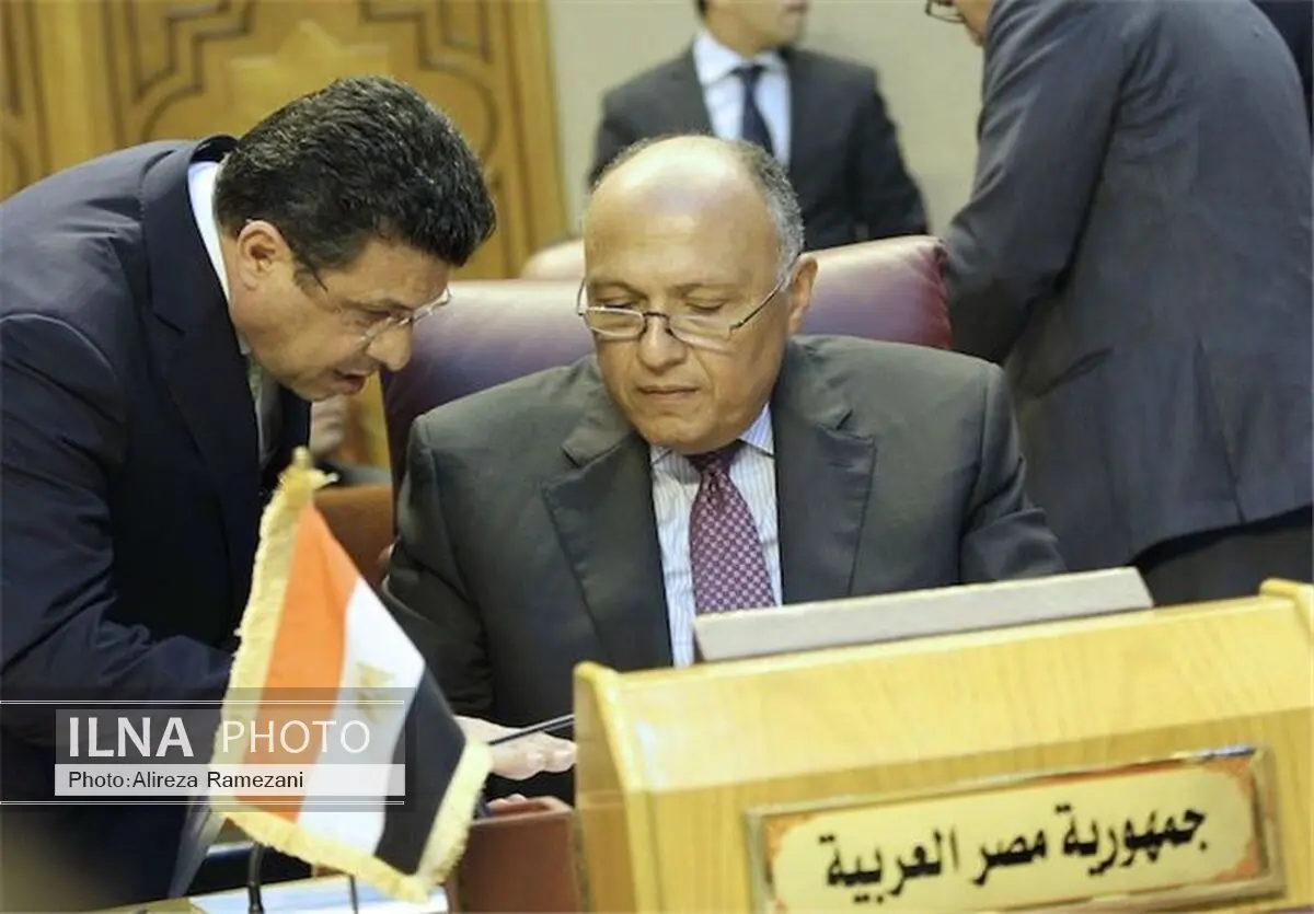 مصر بر لزوم احترام به حاکمیت سوریه تأکید کرد