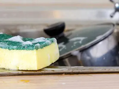 آیا اسکاچ ظرفشویی آلوده‌ترین وسیله خانه است و باید هر هفته تعویض شود؟