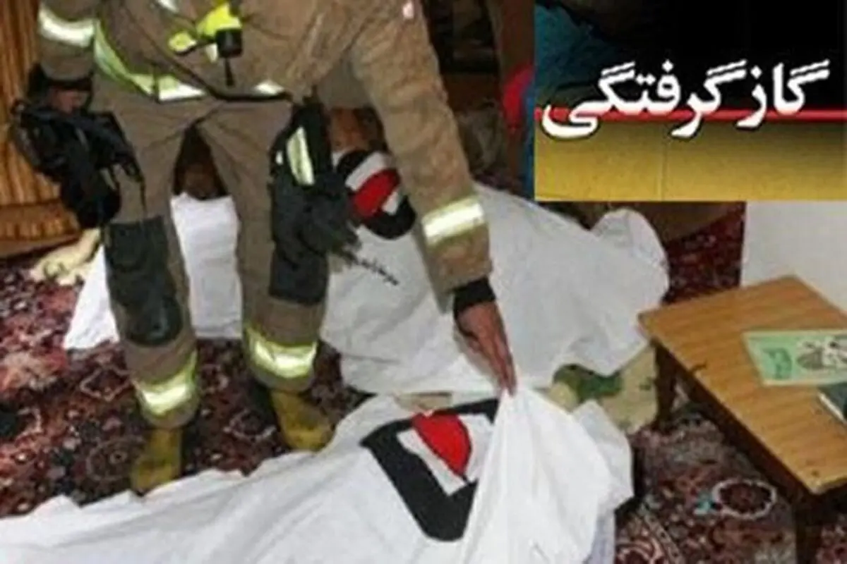 رشد 22 درصد گاز گرفتگی در استان کردستان