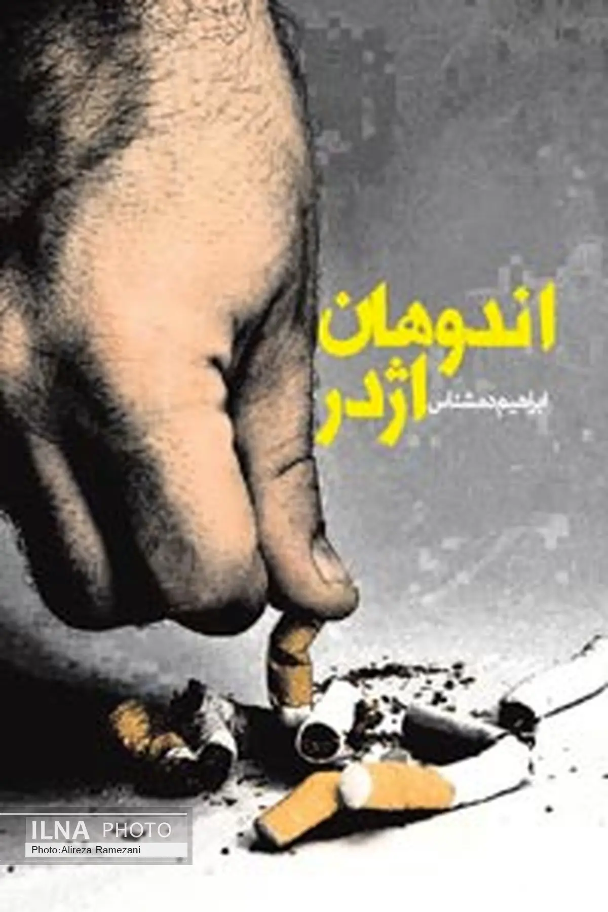 «اندوهان اژدر » داستانی فراتر از سنت رئالیستیِ جنوب