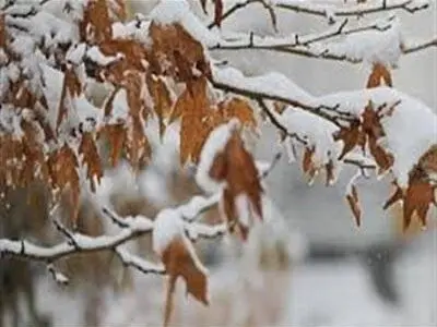 بسیاری از مدارس آذربایجان غربی تعطیل شدند