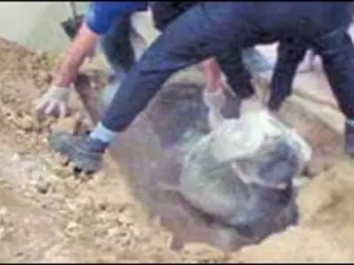مدفون کردن برادر کف سالن پذیرایی