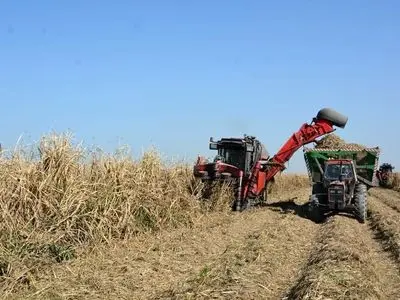 کار در گرمای جنوب با حقوق ناچیز ۱۵ میلیون تومانی/ چرا با پیمانکاران متخلف برخورد نمی‌شود؟ 