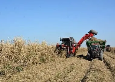 کار در گرمای جنوب با حقوق ناچیز ۱۵ میلیون تومانی/ چرا با پیمانکاران متخلف برخورد نمی‌شود؟ 