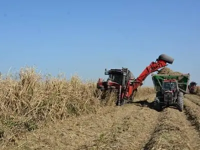کار در گرمای جنوب با حقوق ناچیز ۱۵ میلیون تومانی/ چرا با پیمانکاران متخلف برخورد نمی‌شود؟ 
