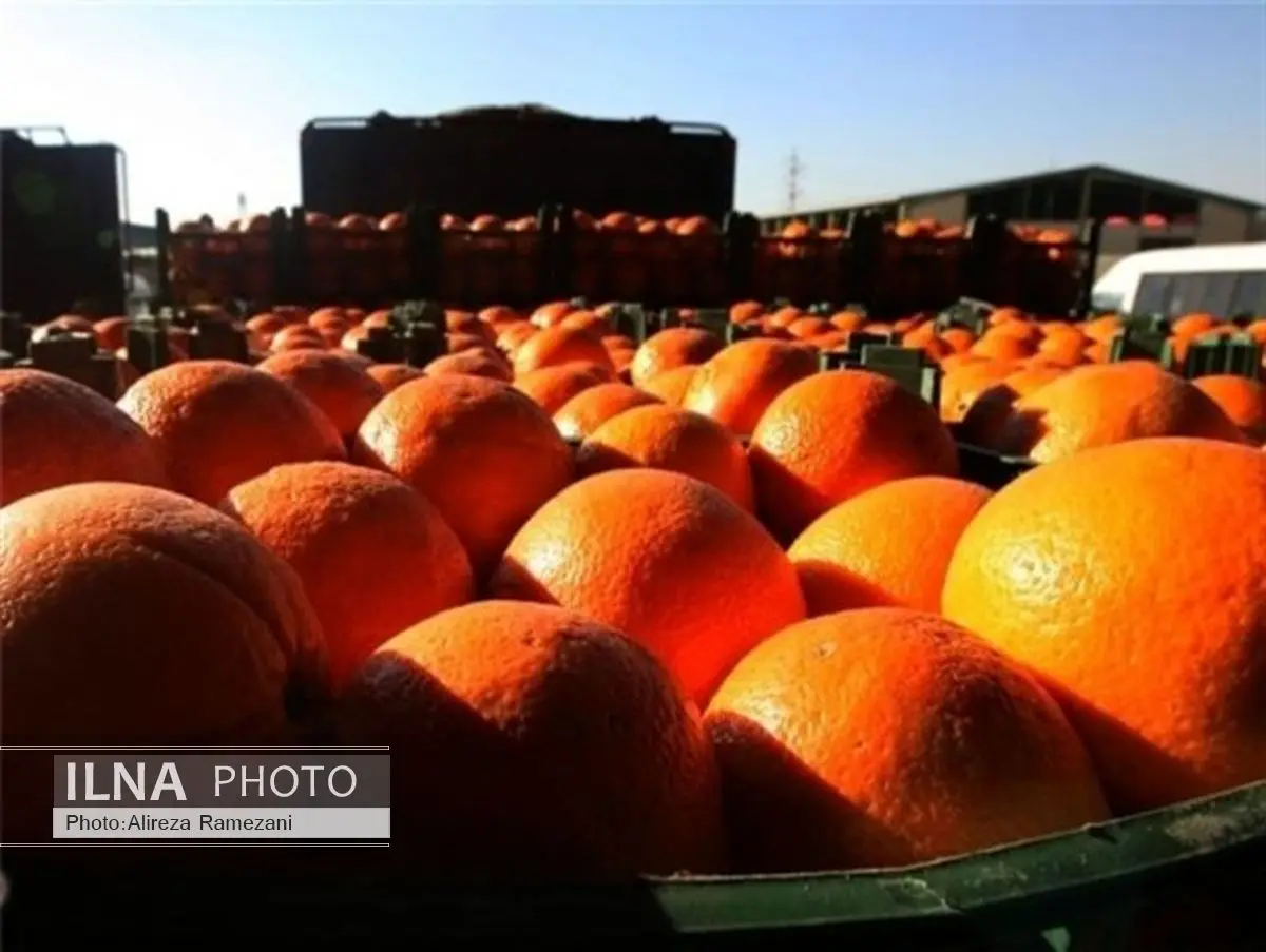 کاهش 30 درصدی قیمت سیب و پرتقال در ایام عید