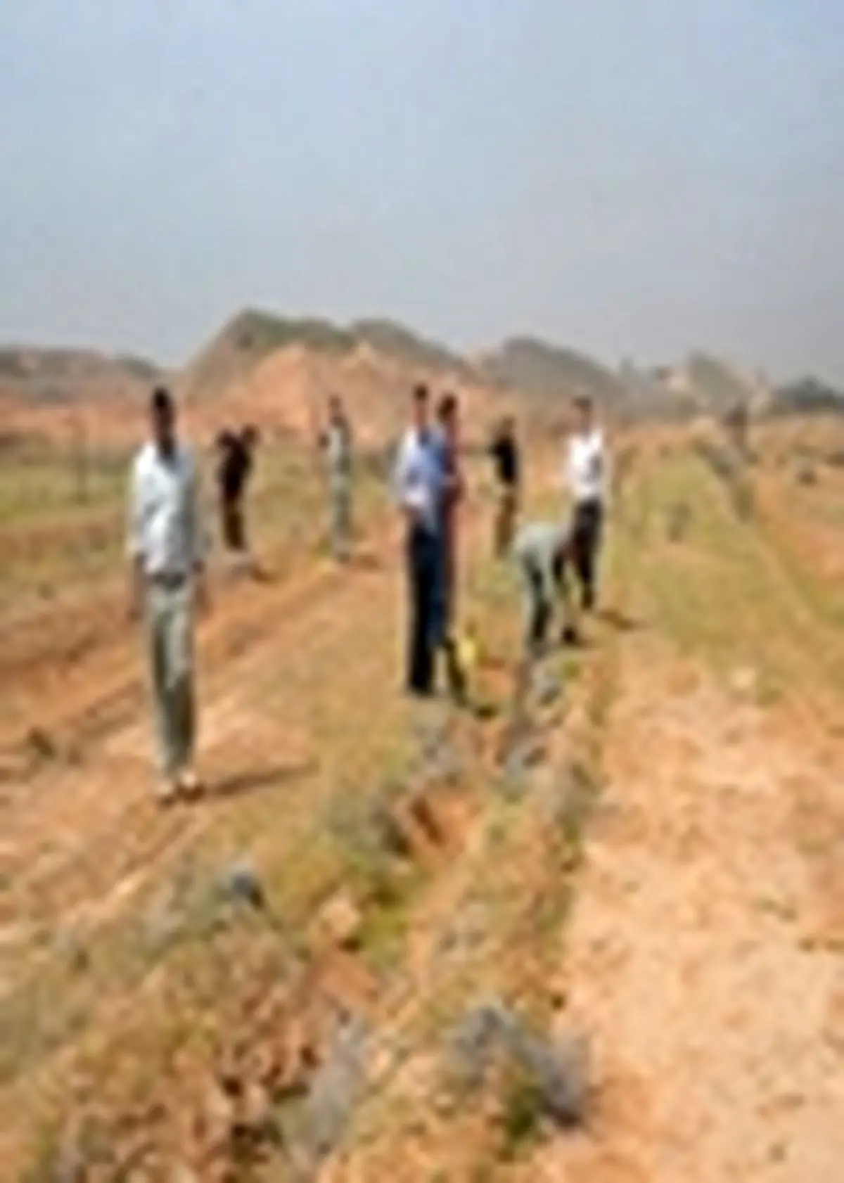 کاشت بیش از ۱۰ هزار اصله نهال