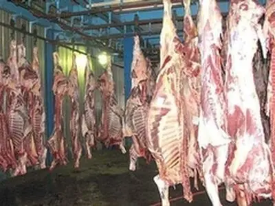 صادرات دام موجب افزایش قیمت داخلی می شود