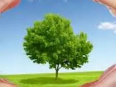 مرکز کنترل ترافیک به سامانه استعلام معاینه فنی خودرو متصل شد