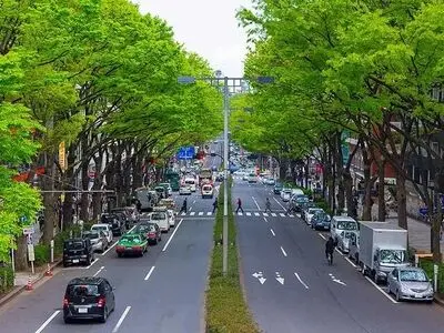 چرا در ژاپن لندکروز سوار نمی‌شوند؟/ سرزمین خودروهای کوچک