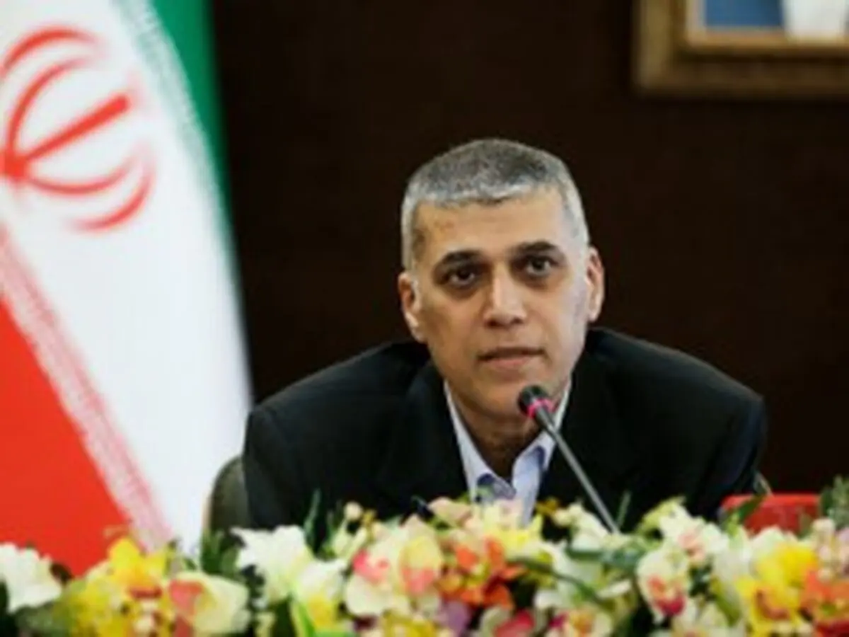 لایحه نحوه اداره و بهره‌برداری از آپارتمان‌ها ماهیت قضایی ندارد/ قوه قضائیه قبل از پیشنهاد این متن، باید از قضات دادگستری نظرسنجی می‌کرد/ وکالت و طبابت جنبه بازرگانی و اداری ندارد