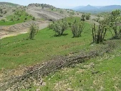 بررسی واگذاری اراضی ملی و تغییر کاربری اراضی در کمیسیون لوایح