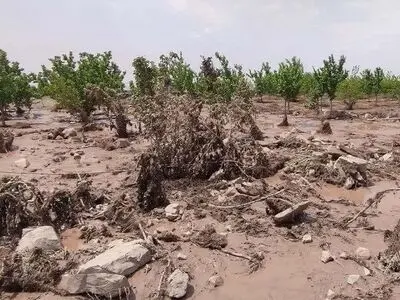 خسارت ۶۶۰۰ میلیارد ریالی سیل و تگرگ به کشاورزی سمنان