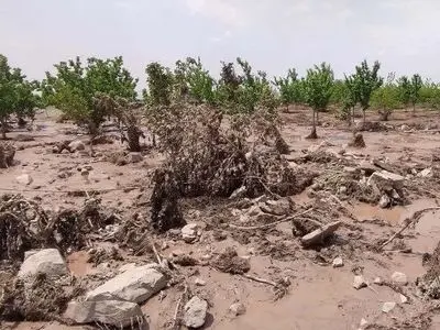 خسارت ۶۶۰۰ میلیارد ریالی سیل و تگرگ به کشاورزی سمنان