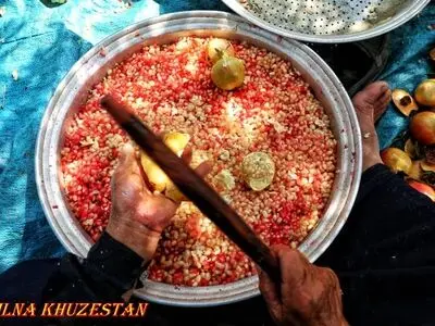 گزارش تصویری برداشت انار از باغات باغملک