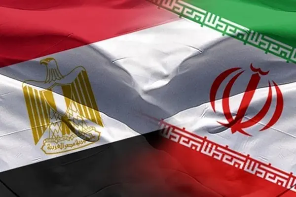 Iranian, Egyptian FMs call for expanding mutual ties