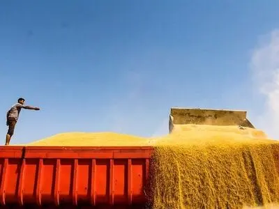 سرنوشت تولید گندم در اختیار وزارت صنعت/ کشاورزان چشم انتظار اعلام نرخ تضمینی/ آزادی یواشکی واردات و لغو قانون انتزاع دور از چشم مجلسی‌ها
