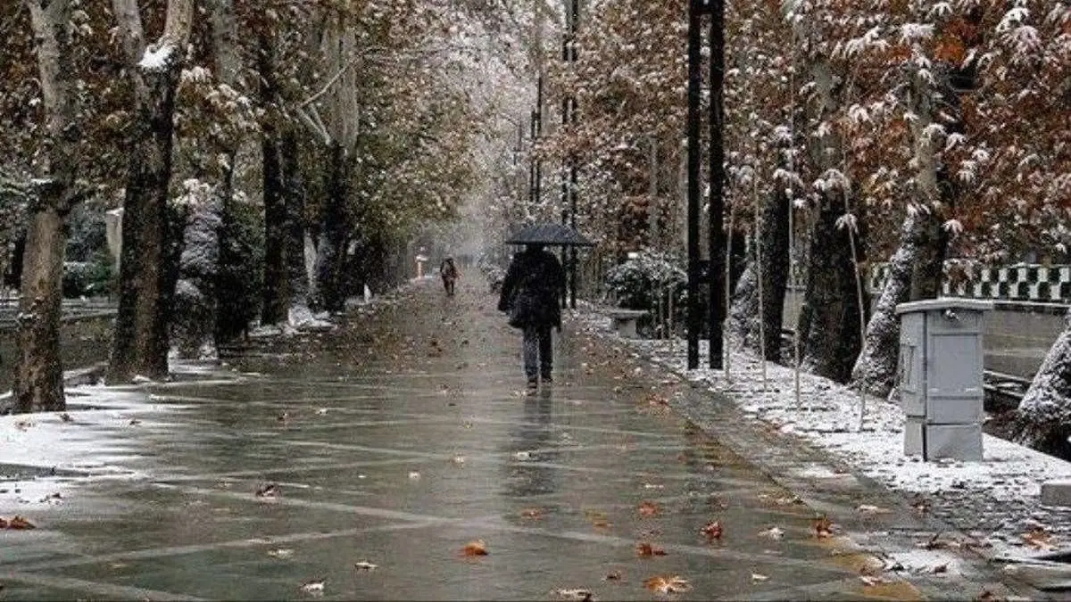 پیش بینی بارش‌های پراکنده شمال شرق کشور