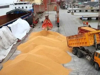 شوک قیمتی گوشت قرمز و مرغ با حذف ارز ترجیحی نهاده‌های دامی