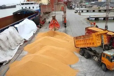 شوک قیمتی گوشت قرمز و مرغ با حذف ارز ترجیحی نهاده‌های دامی