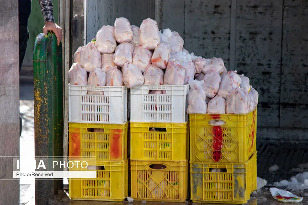 ۲۲ هزار تن گوشت مرغ گرم در قزوین توزیع شد